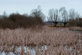 012_Biebrza - kwiecien 2013